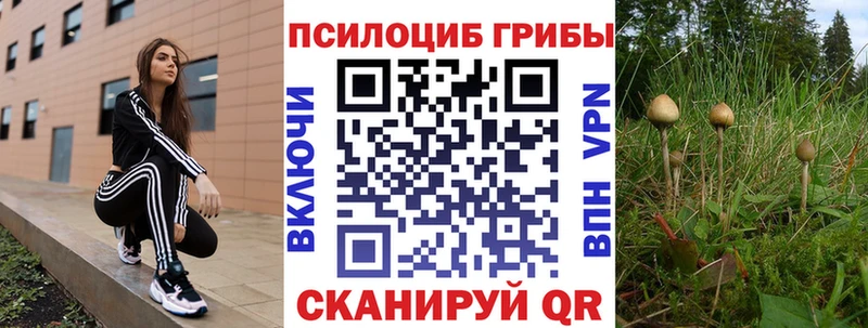 Галлюциногенные грибы Cubensis  Димитровград 
