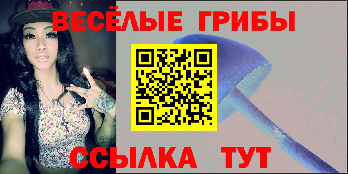 Димитровград  где найти наркотики  Вход с VPN  Псилоцибиновые грибы GOLDEN TEACHER 